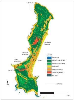 Vegetation of Sweers Island