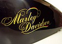 Marley_Typeface.jpg