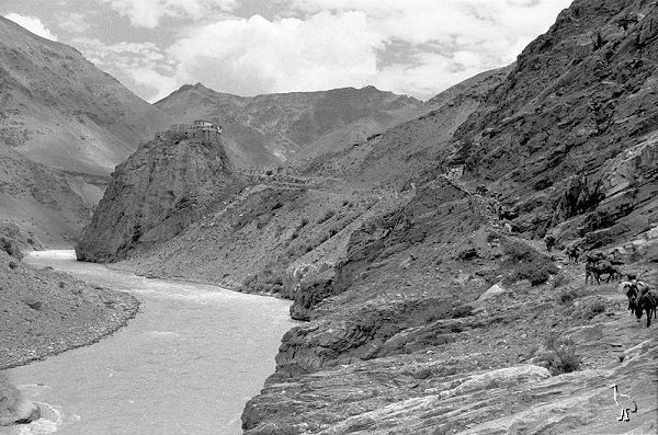 Gompa_on_Zanskar_River.jpg