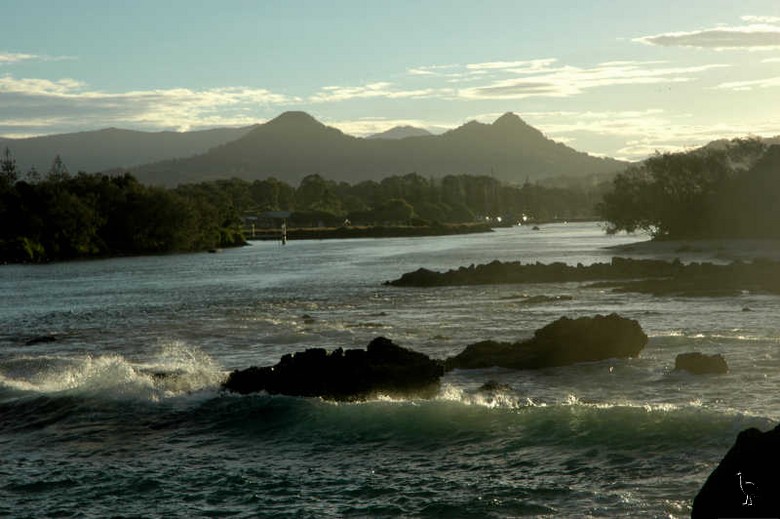 Mt_Chincogan_from_Brunswick_Heads.jpg