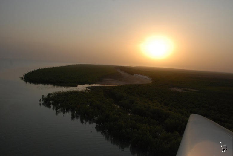 bkt_DSC_3594_burketown_mangroves.jpg