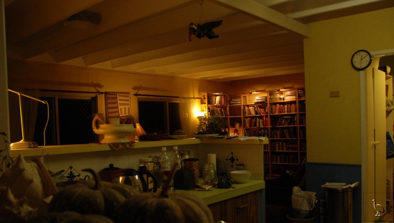 DSC_4864.jpg