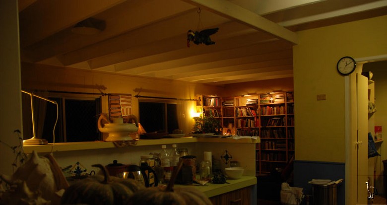 DSC_4865_living_room.jpg