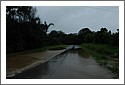 DSC_4785.jpg