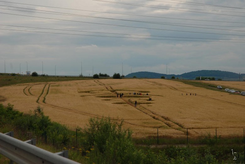 DSC_7787_cropcircles_Marly.jpg