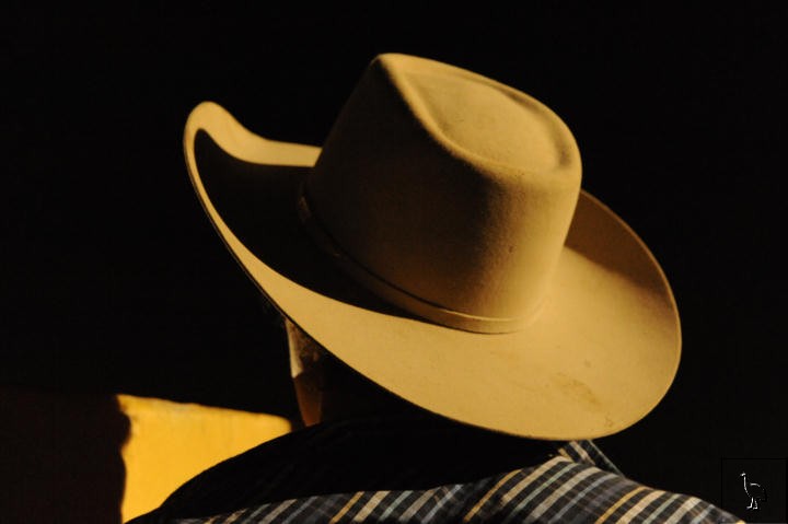 D7C_9746_rodeo_hat.jpg