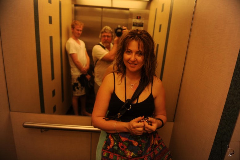 D7C_0875_sharon.jpg D7C_0875_sharon.jpg