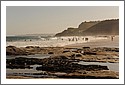 D7C_0841_newcastle.jpg