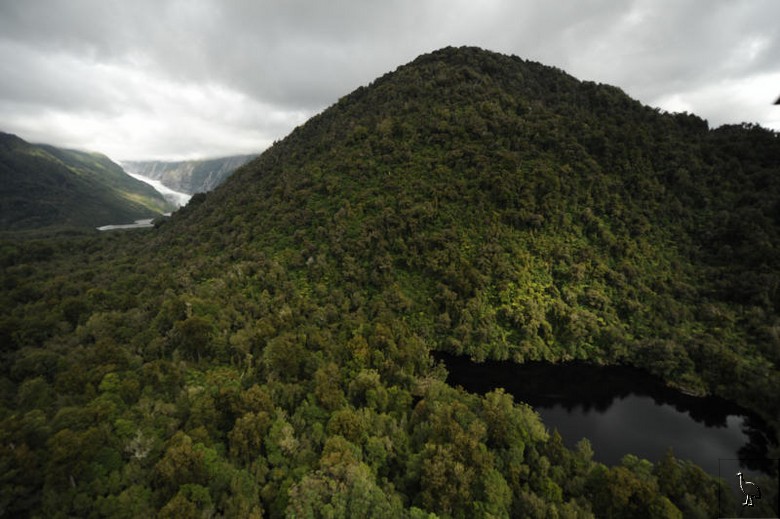 D7C_7400_wombat_lake.jpg