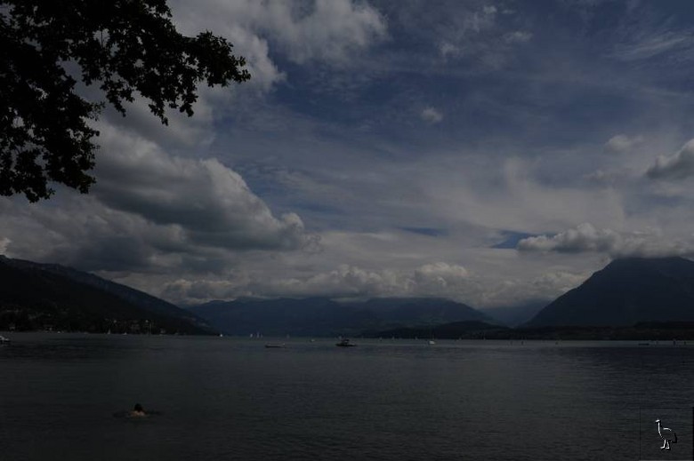 D7C_4868_Thunersee.jpg