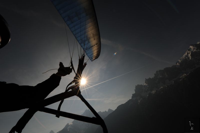 D7C_3426_Chamonix_canopy.jpg