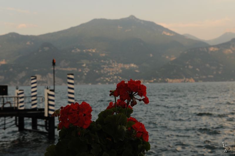 D7C_3877_Lake_Como.jpg
