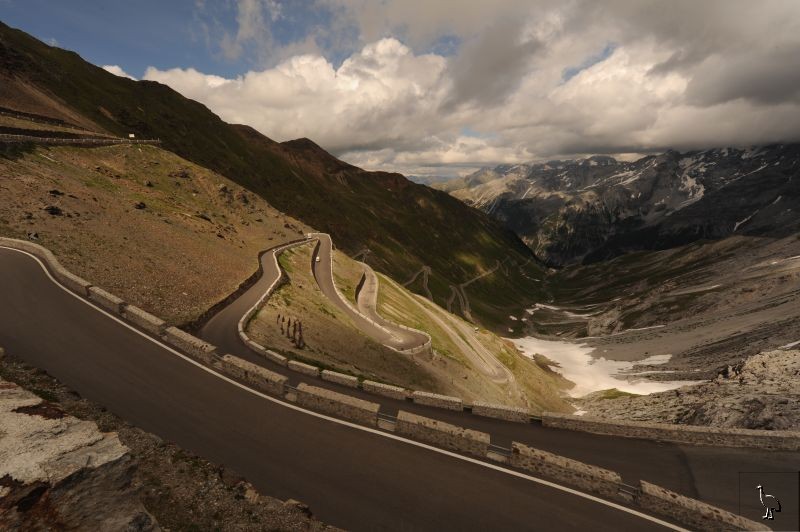 D7C_4063_Stelvio.jpg