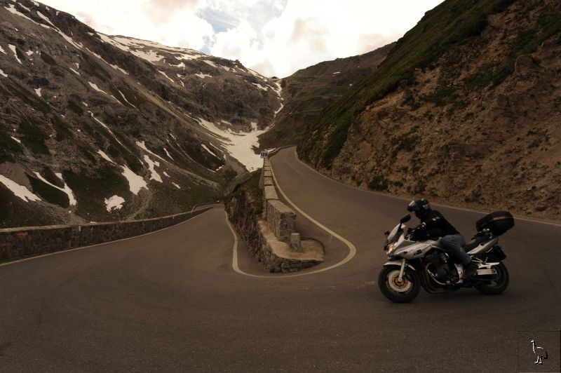 D7C_4070_Stelvio_Cliff_Bandit.jpg