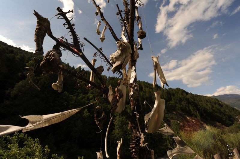 D7C_4086_sculpture.jpg