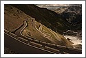 D7C_4064_Stelvio.jpg