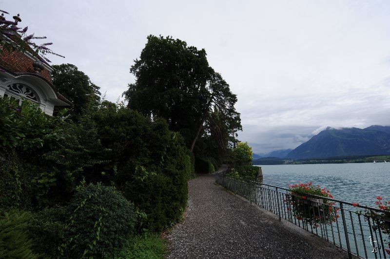 D7C_5435_Thun.jpg