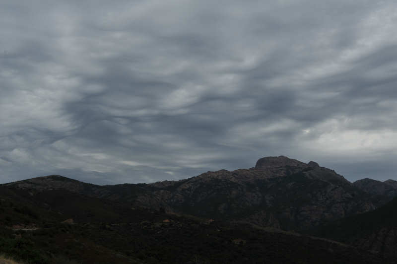 D7C_0180_Corsica_Mammatus.jpg