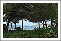 D7C_0230_Corsica.jpg