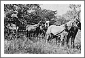 Burketown-1920-Mail-Coach.jpg