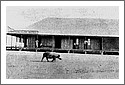 Burketown-Commonwealth-Hotel-1920.jpg