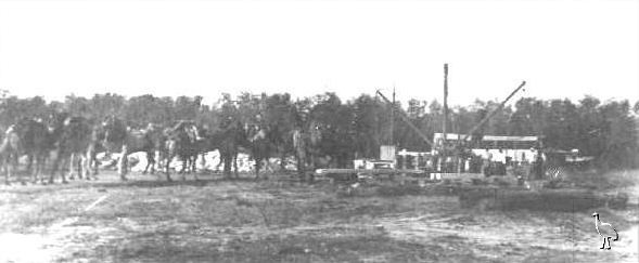 Burketown_Wharf_and_Camels_1918_46491.jpg