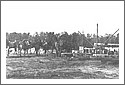Burketown_Wharf_and_Camels_1918_46491.jpg