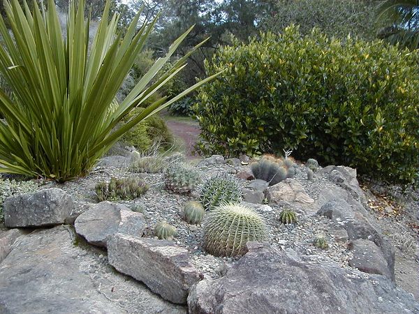 Cactus_Garden_2002_01.jpg