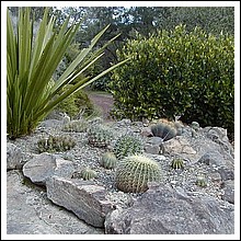 Cactus_Garden_2002_01.jpg