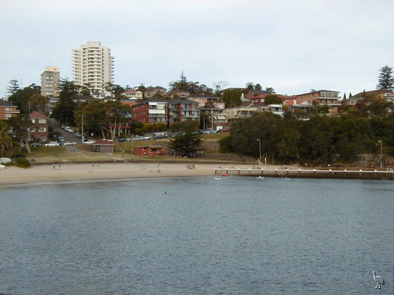 P1010014_little_manly.jpg