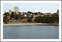 P1010014_little_manly.jpg