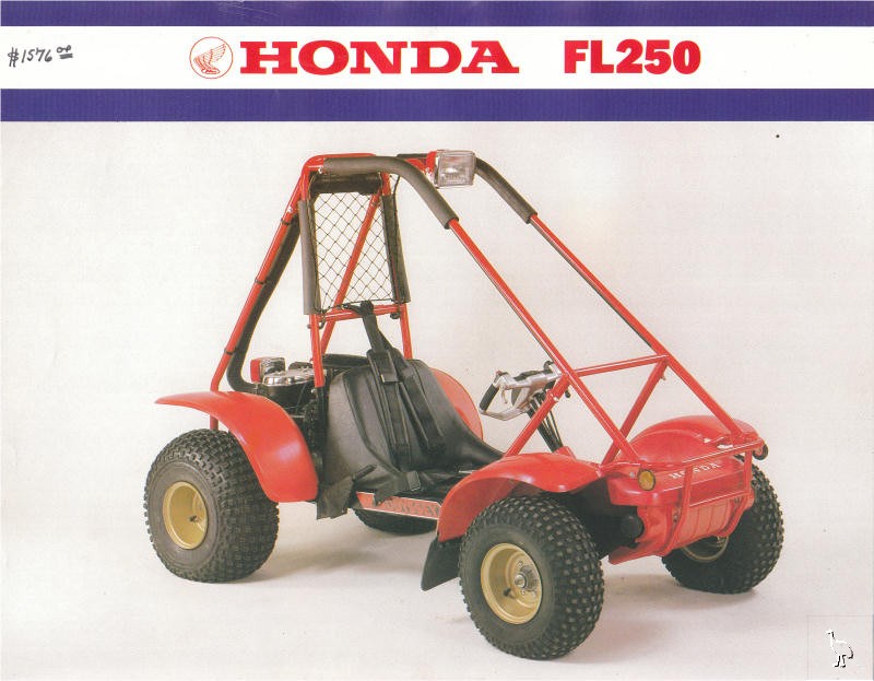Honda_1981_FL250.jpg