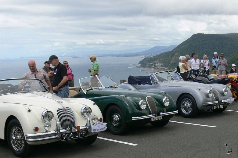 Jaguars_South_Coast_NSW.jpg Jaguars_South_Coast_NSW.jpg