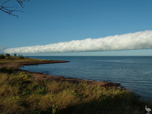 Morning-Glory-Sweers-Southwest.jpg