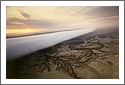 Morning Glory Cloud Approaching Burketown, 1994