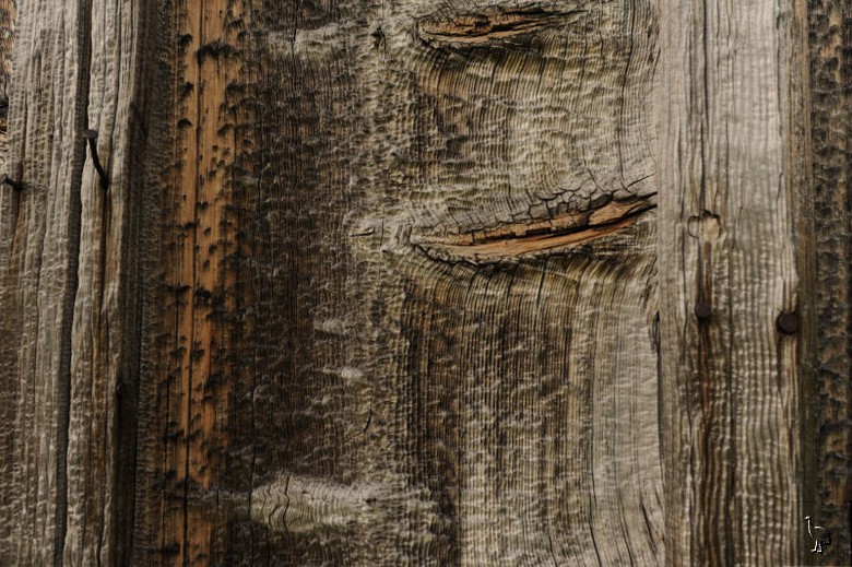 Wood_Swiss_Alps_D7C_3222.jpg