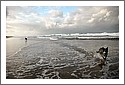 Blue Heelers, Byron Bay