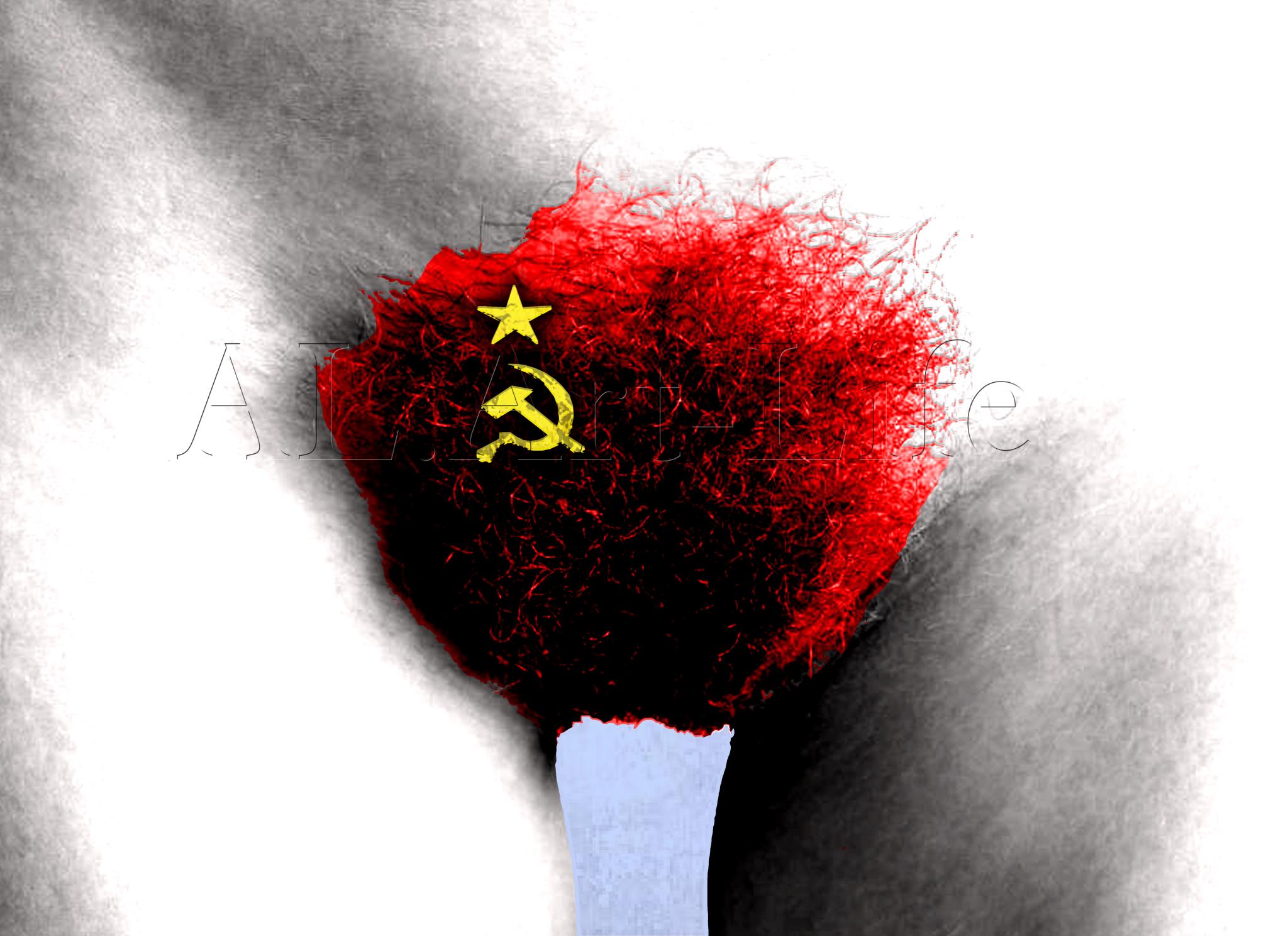 Pussy_Riot_digit-al-artlife_de.jpg