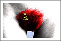 Pussy_Riot_digit-al-artlife_de.jpg