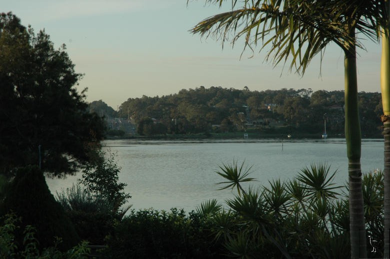 DSC_0702.jpg DSC_0702.jpg