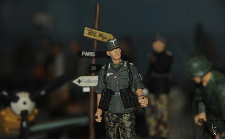 D7C_6819_militaria.jpg D7C_6819_militaria.jpg