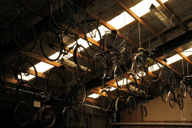 D7C_6837_bicycles.jpg