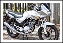 Yamaha_YBR125_Diversion.jpg