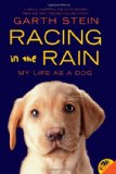 Racing in the Rain: My Life as a Dog