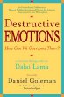 Destructive Emotions: A Scientific Dialogue with the Dalai Lama