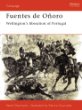 Fuentes De Onoro: Wellington's Liberation of Portugal (Campaign 99)