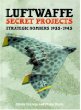 Luftwaffe Secret Projects: Strategic Bombers 1935-1945