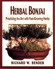 Herbal Bonsai : Practicing the Art With Fast-Growing Herbs