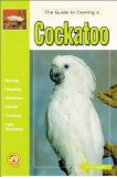 The Guide to Owning a Cockatoo