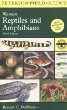 A Field Guide to Western Reptiles and Amphibians